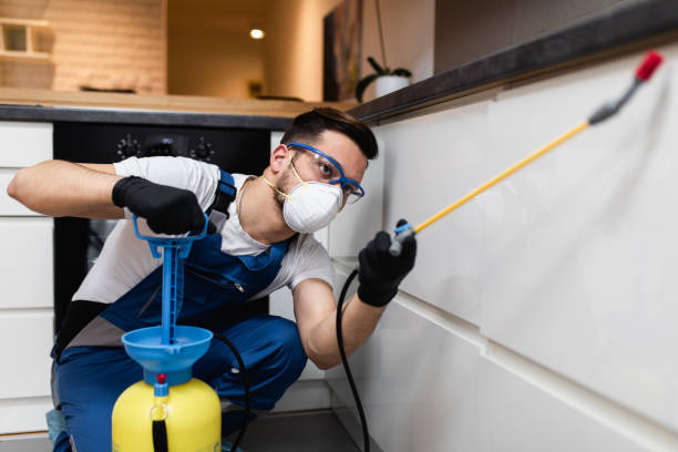 Best Affordable Pest Control Services  in Forsyth, MT