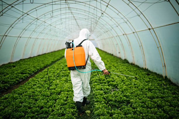 Best Pest Prevention Services  in Forsyth, MT