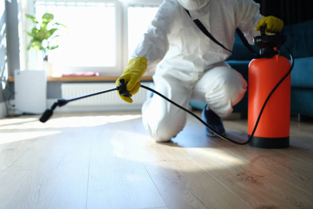 Best Flea Control Services  in Forsyth, MT