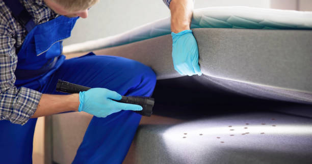 Best Pest Removal Services  in Forsyth, MT