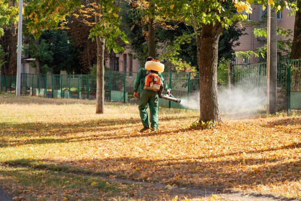 Best Residential Pest Control  in Forsyth, MT